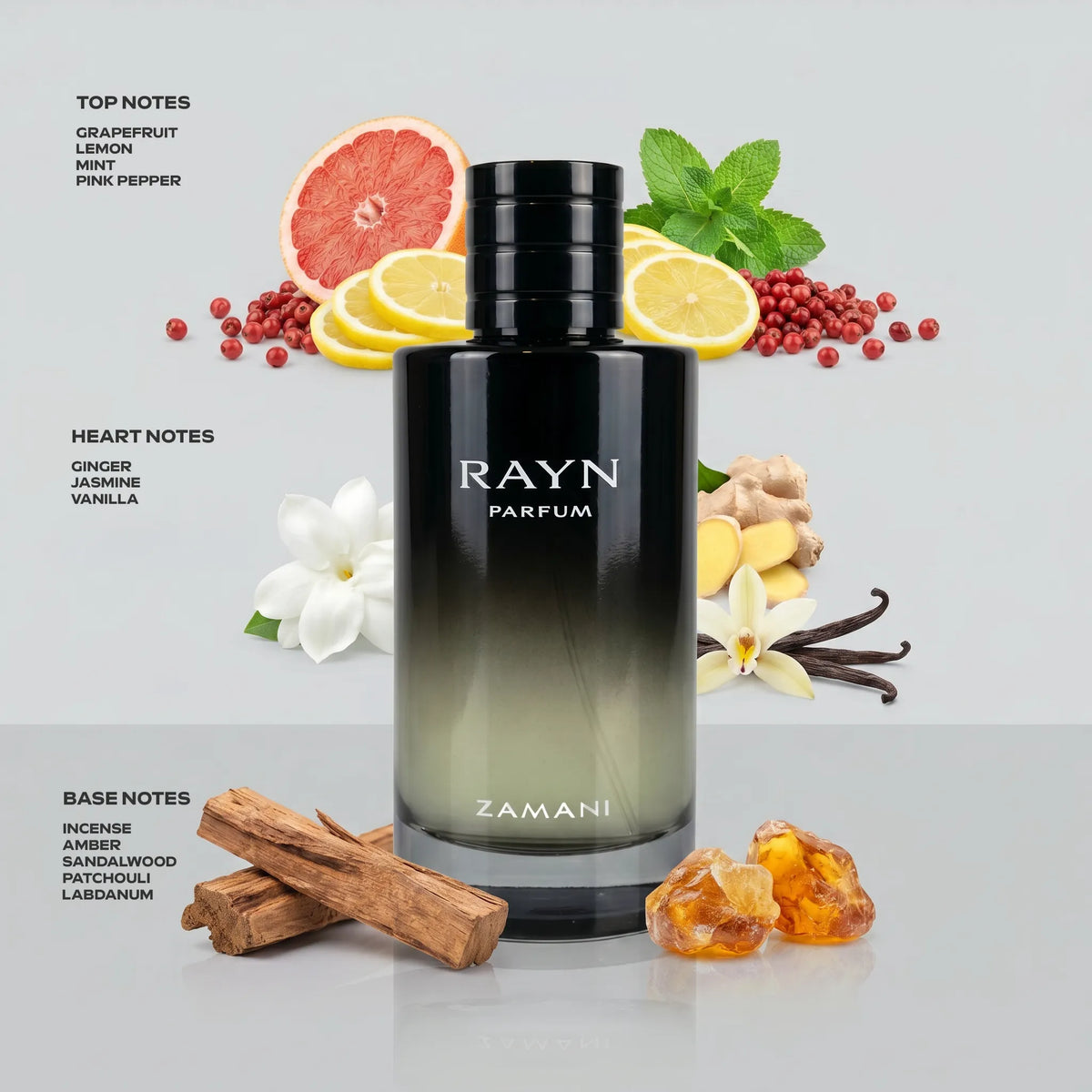 Rayn Parfum By Zamani